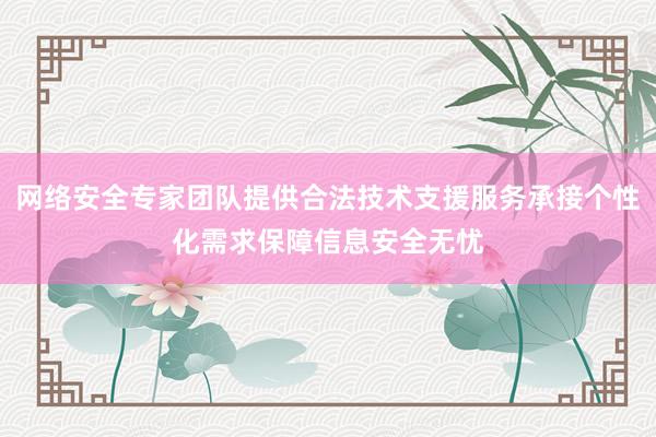 网络安全专家团队提供合法技术支援服务承接个性化需求保障信息安全无忧