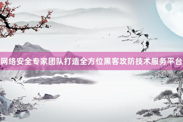 网络安全专家团队打造全方位黑客攻防技术服务平台