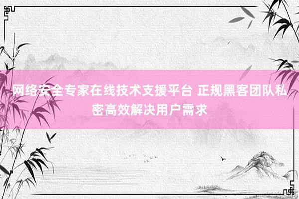 网络安全专家在线技术支援平台 正规黑客团队私密高效解决用户需求