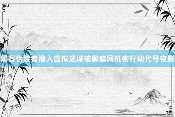 黑客伪装者潜入虚拟迷城破解暗网机密行动代号夜影